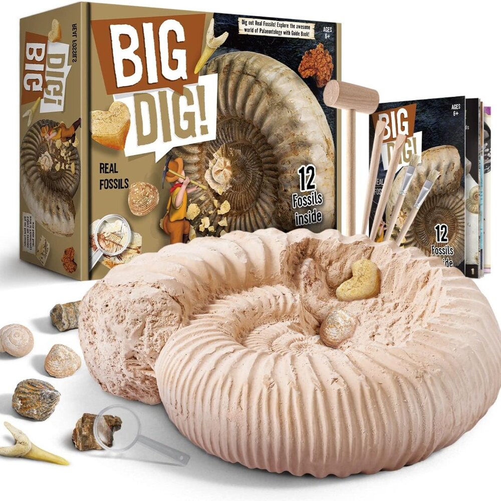 Fossil Dig Kit - Excavate 12 Prehistoric Fossils(1 Set)